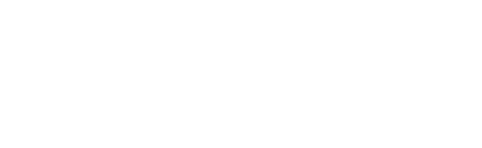 Paradox Studios Logo