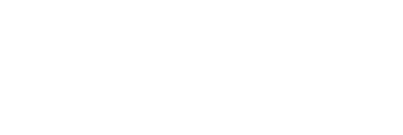 Tiger Group Logo